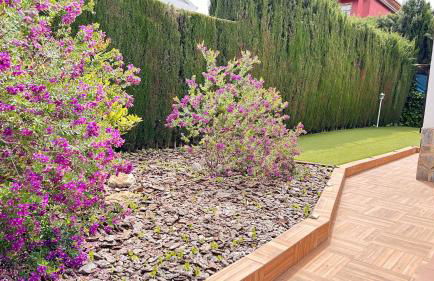 Extraordinaria Villa con piscina y chimenea - Photo 20