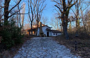 Arnaia Forest Villa - Photo 20