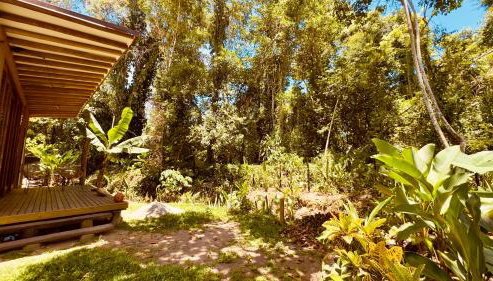 Canto da Mata Itamambuca Hospedagem - Foto 5, Garden