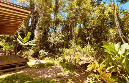 Canto da Mata Itamambuca Hospedagem - Foto 5