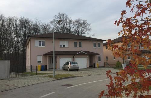 Kalamiri forest - Foto 12