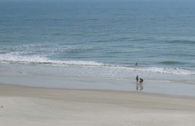 Oceania Beach Club by Ocean Properties - Foto 43