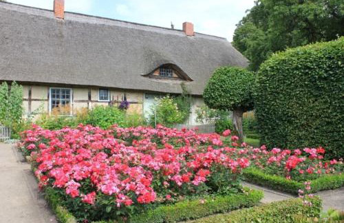 Ferienwohnung Rosengarten am Pfarrgarten Starkow - Foto 12