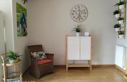 Bermeo y Urdaibai - PARKING-Ascensor - WIFi - tranquilo - Foto 10