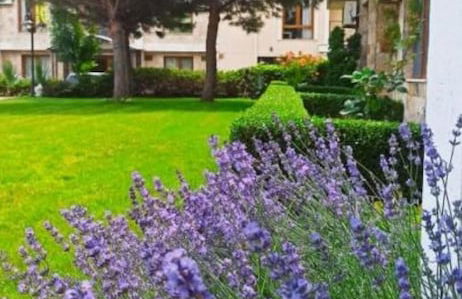 Maisonettes in Royal Bay Residence&SPA 2 - Foto 40