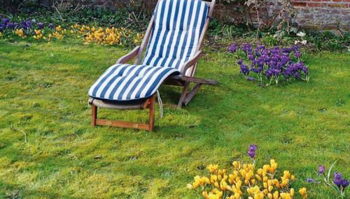 Altes Rektorenhaus 1 - Foto 4