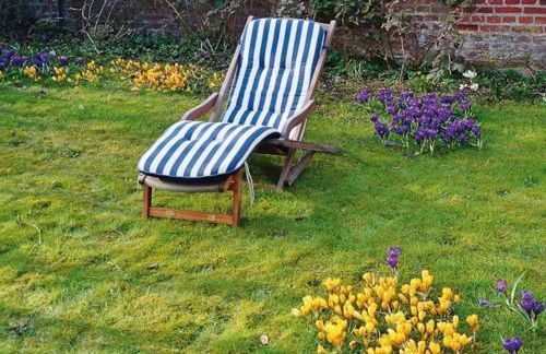 Altes Rektorenhaus 1 - Photo 4