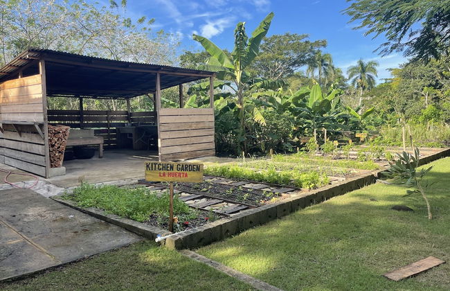 Hacienda La Huerta - Photo 22