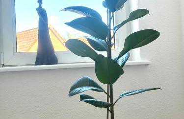 Ferienwohnung Fleiger 5 in Achim Zentrum - Foto 9