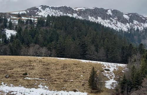 Appartement Mont Dore tout confort, 2 pièces, 4 personnes - Foto 29