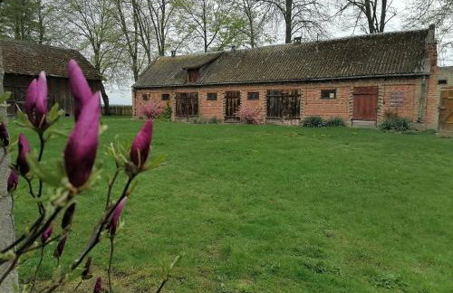 Domek na wsi Wiejsko Czarodziejsko - Agroturystyka Podlasie - Foto 68