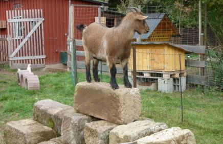 Ferienwohnung Irene - Foto 14