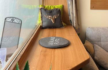 Wildgrün Panorama Lodge 11 - Foto 9