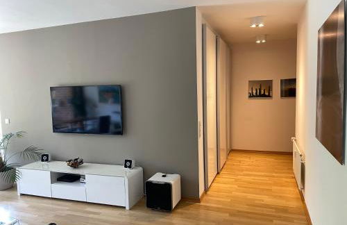 Messe- und Ferienwohnung mit Dachterrasse am Fluss - Foto 7