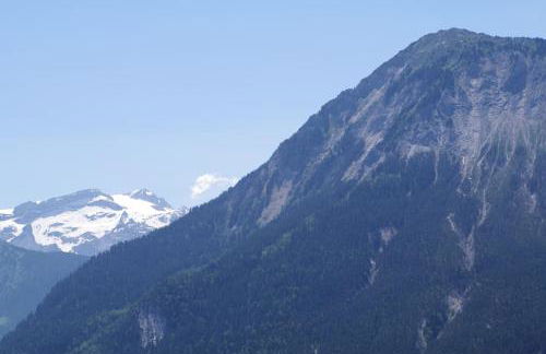 Face aux 3 vallées - Foto 33