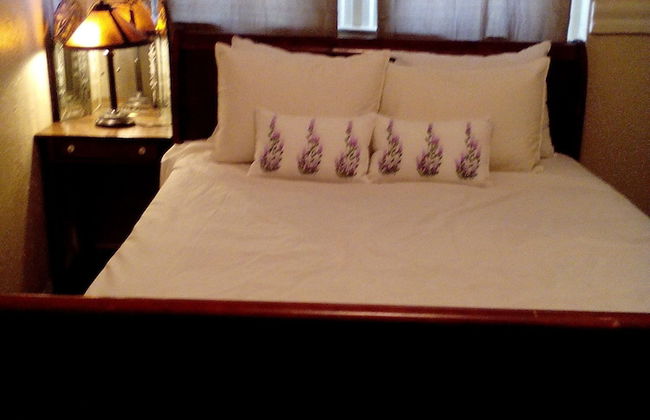 Historic Alvarado Terrace - Foto 6