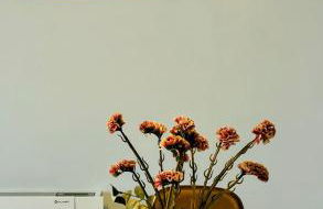 Onar seaside experience - Foto 18