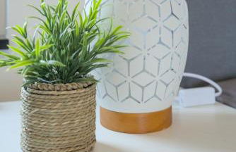 Ferienhaus Luthers Rast - Foto 29