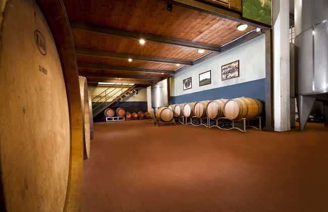 Tenuta San Vito - Foto 26