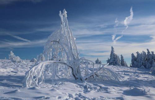 Ferienwohnung Hankeln - Foto 28