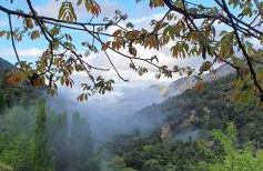 Saluda Alta - Foto 26