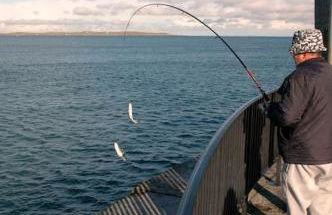 3 bed terrace in Donaghadee town centre 1 min walk to shops and beach - Foto 18