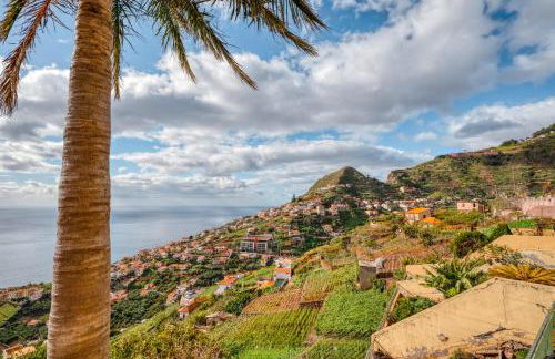 Palm Tree House by Amazing Madeira - Foto 6