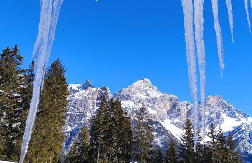 Tra prati e monti - Dolomiti Bellunesi - Foto 32