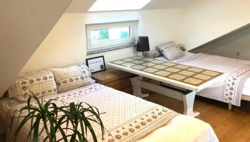 Pod-Inn 坡顶公寓-文化谷仓 - Foto 4