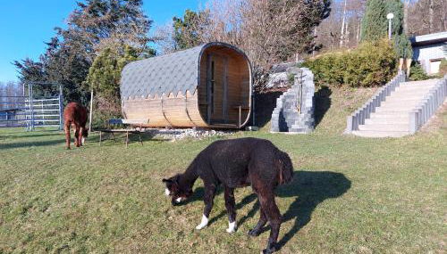 Bergpanorama Ruhla - Photo 4