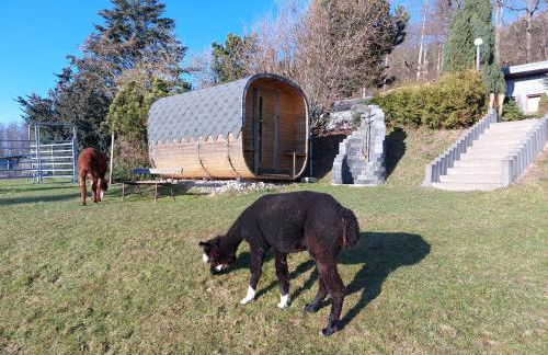 Bergpanorama Ruhla - Foto 4