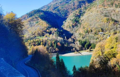 Le Bois Cosy appartement 4 étoiles 6 personnes, ACCES SKI ALPE D'HUEZ GRAND DOMAINE A 3 K M - Foto 48