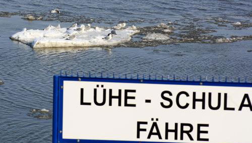 Knubberhaus Das Ferienhaus im Kirs - Photo 5