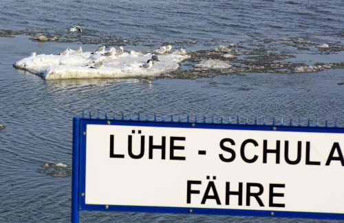 Knubberhaus Das Ferienhaus im Kirs - Photo 5