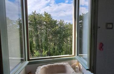 Villa San Silvestro - Foto 14