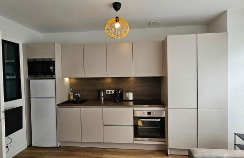 Appartements 4, 5 et 10 personnes rénovés en centre-ville - Foto 44