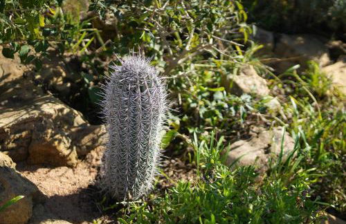 Cliffside Boho Villa - Foto 53