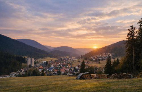 Ferienwohnung Tannenballett mit Panorama über den Schwarzwald in Baiersbronn - Foto 22