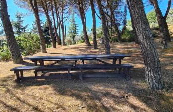 Casale dei Puppi, una bellissima casa rustica - Foto 22