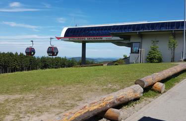 Fewos 4-Jahreszeiten - Foto 46