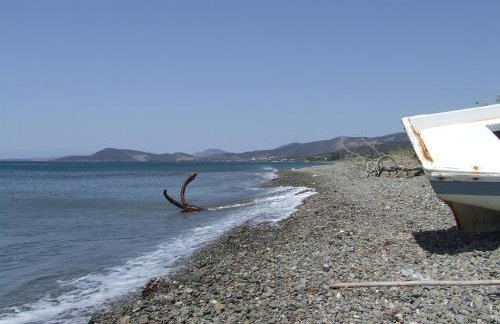 Ktima Develekou - Foto 41