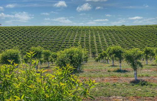 Agriturismo Piani Della Marina - Foto 22
