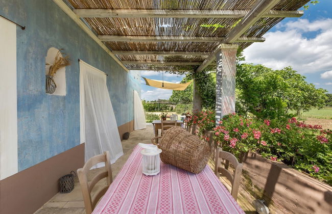 Le Cernicole - Foto 34