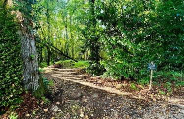 Cozy flat in castle near Fontainebleau - 10 min - Foto 23