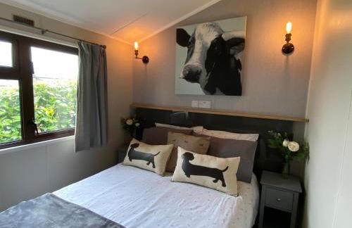 Rew Farm Country & Equestrian Accommodation - Sunrise Lodge - Foto 5