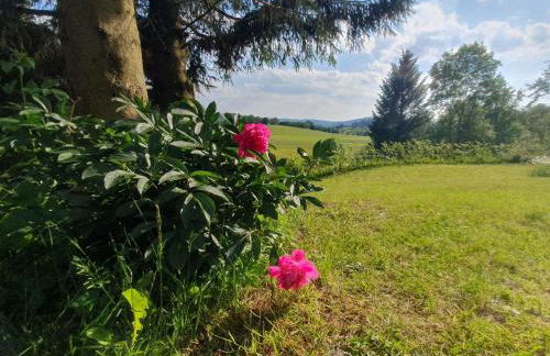 Holiday Home Haus Schneekopf by Interhome - Foto 21