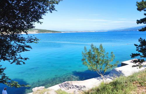 Apartments Frank - Foto 28