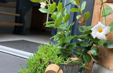 Blockhaus in herrlicher Umgebung - Foto 44