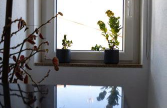 Casa do Balcão - Foto 47