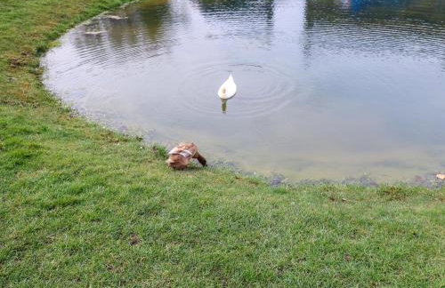 Rose Cottage - Foto 33